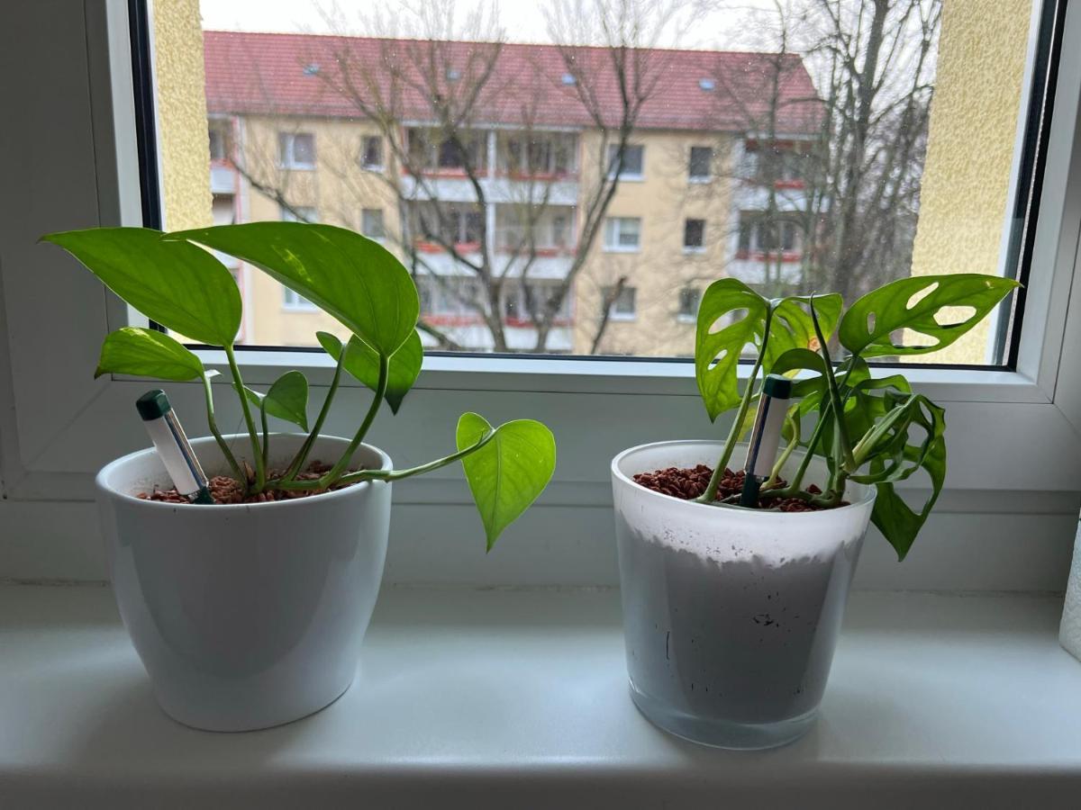 Ferienwohnung Waldstadt Potsdam Ngoại thất bức ảnh